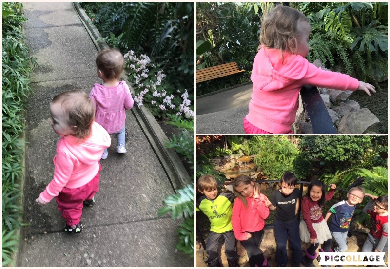 conservatory visit with little lions