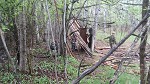 forts in the forest wild play