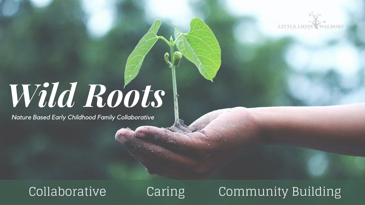 wild-roots--2-